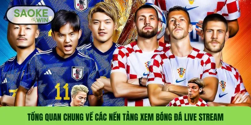 Top 7 Website Xem Trực Tiếp Bóng Đá Không Bị Giật Lát Tốt Nhất 1 Tổng quan chung về các nền tảng xem bóng đá live stream